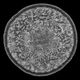 Image for article titled Feather scales, pollen grains, and a single teardrop: what photos of the microscopic world reveal